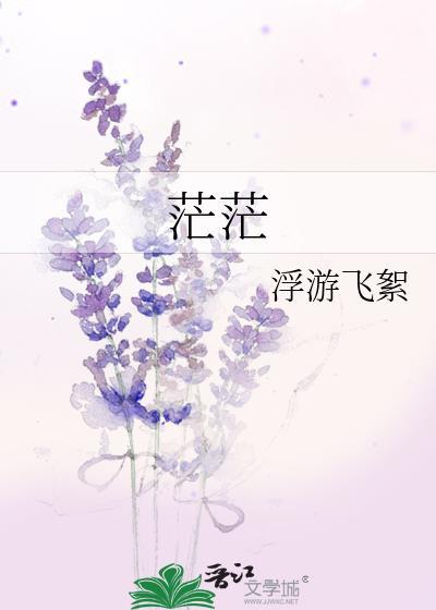 茫茫往事已随风
