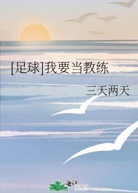 我要做球王无弹窗