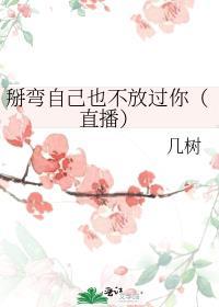 掰弯别人什么意思