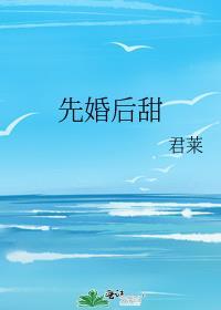 先婚后甜txt
