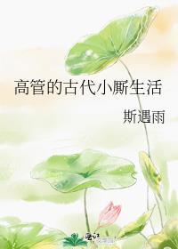 高管的古代小厮生活 作者斯遇雨