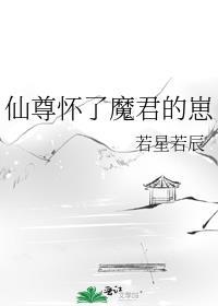 魔尊怀了仙尊的孩子重生