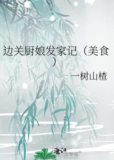 边关小厨娘158