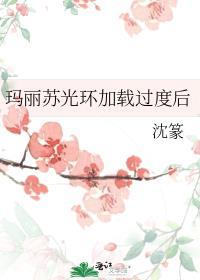 玛丽苏光环什么意思