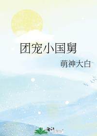 团宠小国舅讲的是什么故事啊