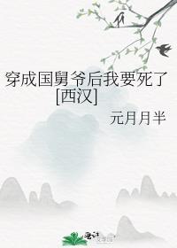 穿成国舅爷后我要死了西汉
