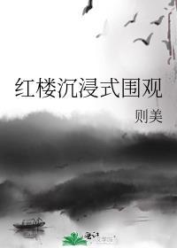 红楼沉浸式围观无错字