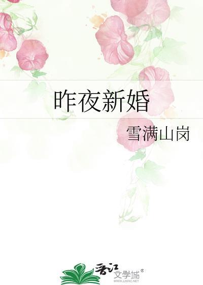 昨夜新婚全本免费阅读