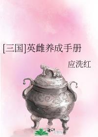 宠物流