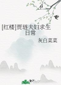 红楼梦贾琏的妻子是谁