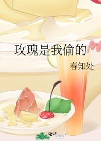 玫瑰是我偷的你爱的是我杀的什么意思