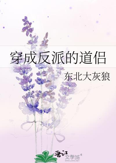穿成反派的道侣讲的什么