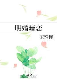 明婚暗恋宋玖槿讲的什么