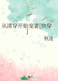 从清穿开始有男主视角