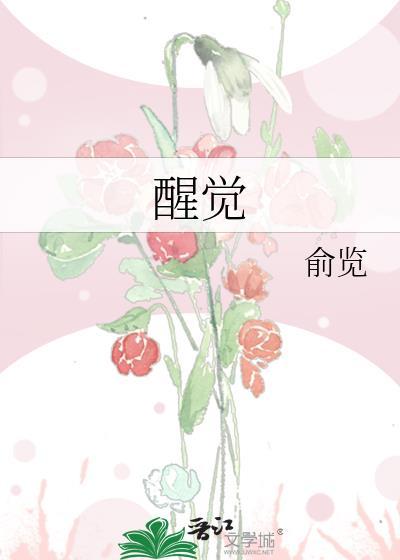 星爵t8