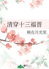 清穿十三福晋兆佳暮晴