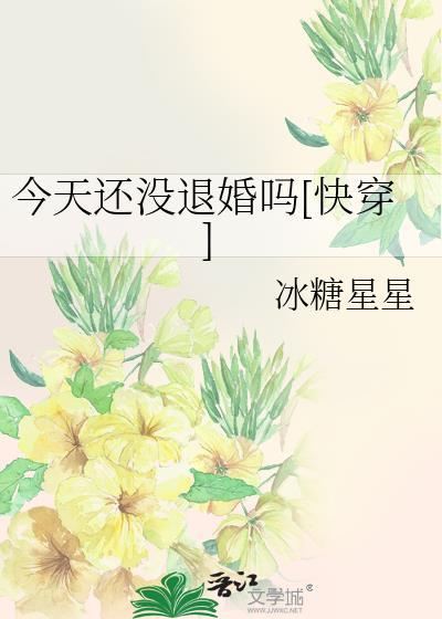 今天也没有成功离婚全文阅读