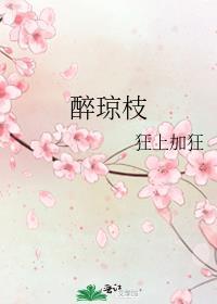 醉琼枝女主第几章和离的