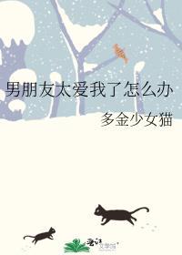 游乐园坠落事件