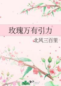 玫瑰万有引力免费阅读