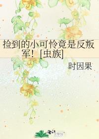 捡到一只小可怜txt