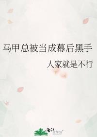 马甲幕后黑手文