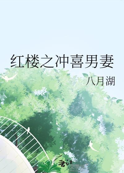 红楼之冲喜男妻txt