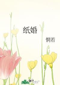纸婚电视剧情介绍