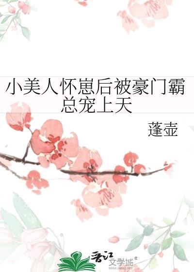 小美人怀崽后被豪门霸总宠上天作者袁舟律