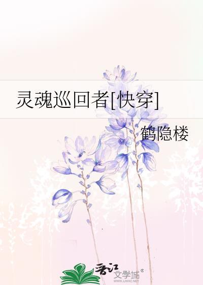 灵魂巡回者快穿txt