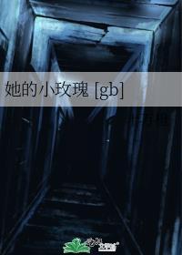 她的小玫瑰TXT