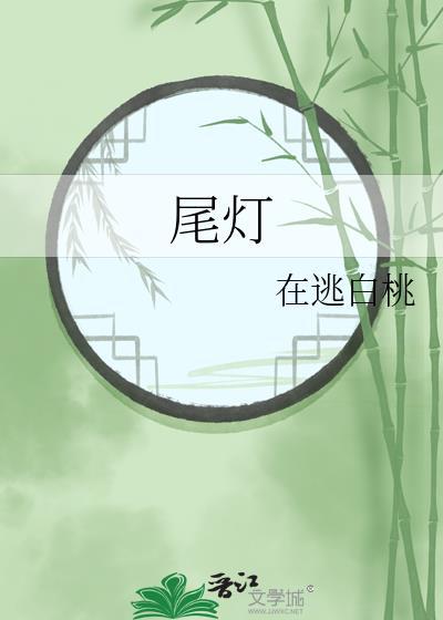 尾灯开关在哪里