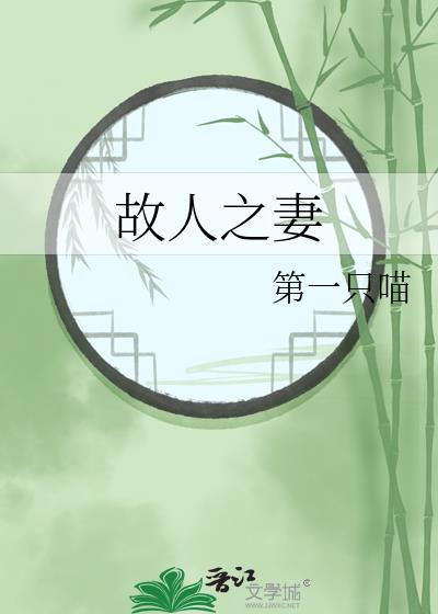 故人之妻晋江文学城