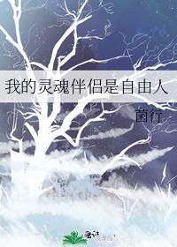 我的灵魂伴侣歌曲