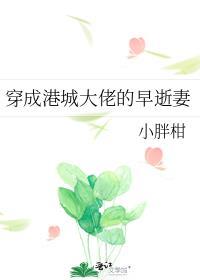 穿成港城大佬的早逝妻免费阅读全文