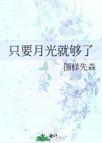 只要月光就够了番外TXT