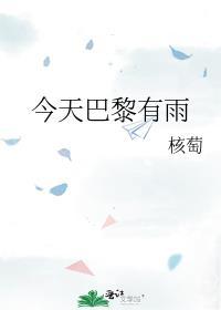 今天巴黎有雨免费阅读无弹窗