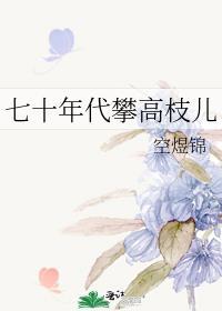 七十年代攀高枝儿空煜锦