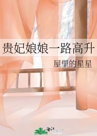 贵妃娘娘一路高升作者屋里的星星