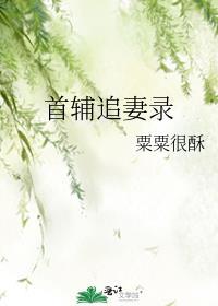 首辅追妻火葬场 盘