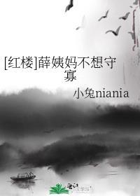 红楼梦里的薛姨妈是什么背景