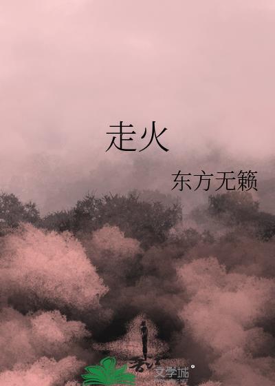 走火分集剧情介绍