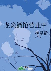 龙炎酒馆营业中类似