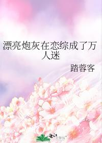 漂亮炮灰同人