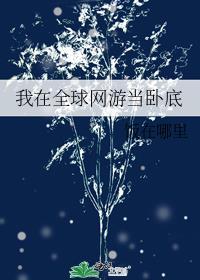 离婚之前漫漫何其多