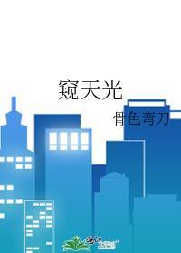 窥天光TXT百度