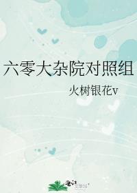 六零大杂院对照组 火树银花v