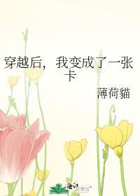 穿越后我变成了一张卡主要内容