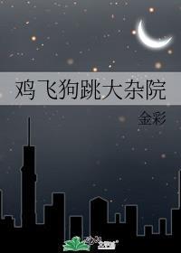 鸡飞狗跳大杂院金彩著