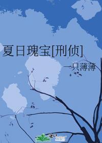 夏日瑰宝[刑侦